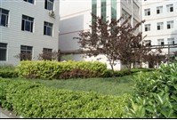 保定市大百尺中学图片