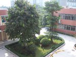 广州市育才实验学校图片