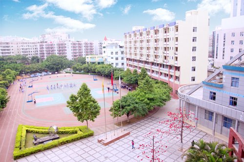 深圳龙华中英文实验学校图片