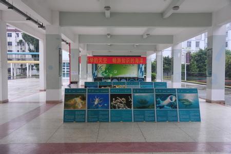 深圳市六约学校小学部图片