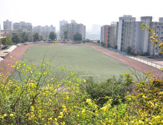 重庆两江中学图片