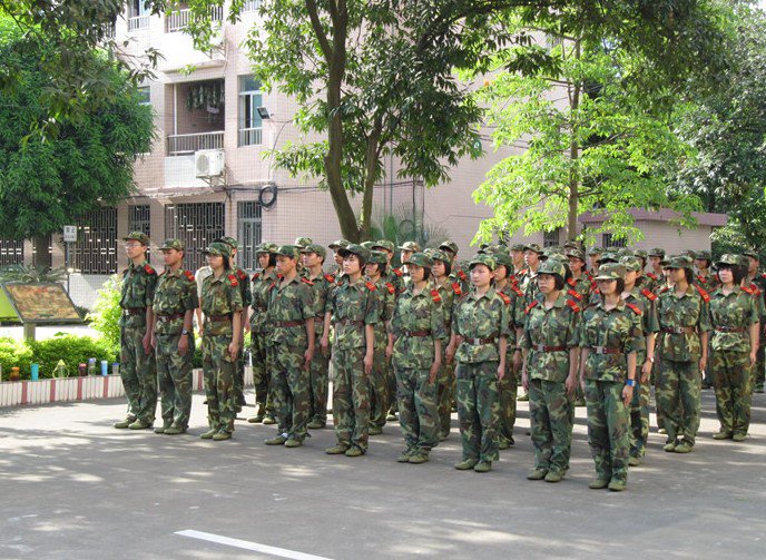佛山市中小学德育基地图片