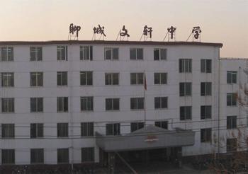 聊城市文轩中学图片