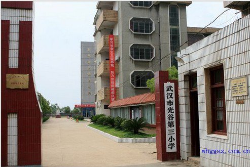 武汉市光谷第三小学图片