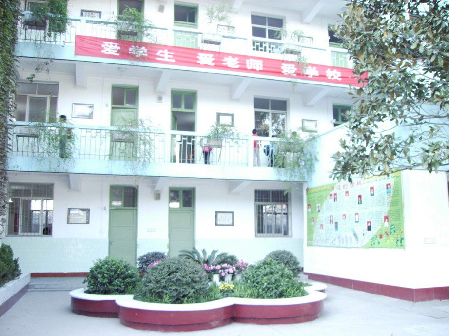 武汉市凌云小学图片