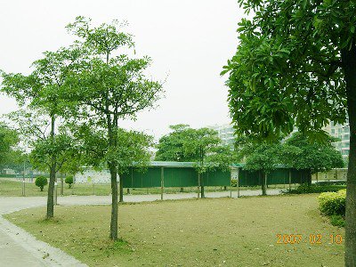 高明区沧江中学图片