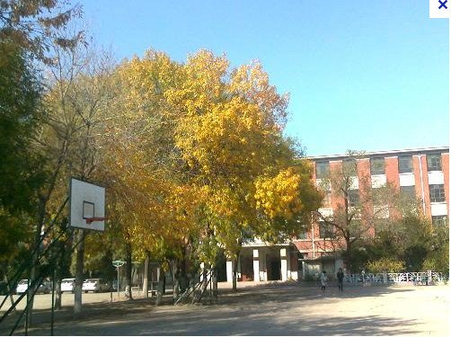 天津市第七十二艺术高级中学（天津市财经职业中等专业学校）图片