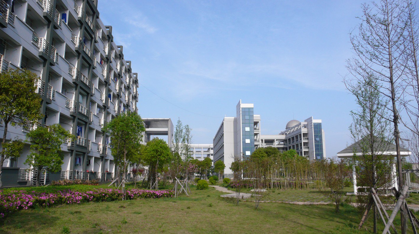 温州市龙湾中学图片