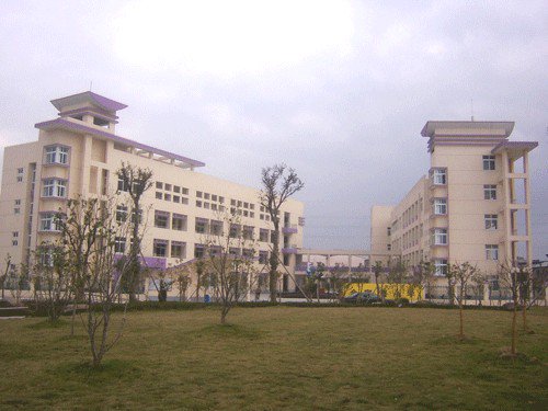 宁波市鄞州区金家漕小学图片