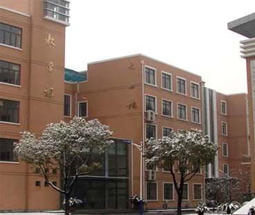 上海奉贤实验中学图片