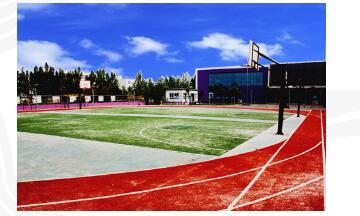 莱克实验学校图片