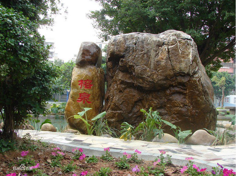 深圳市石岩公学中学部图片