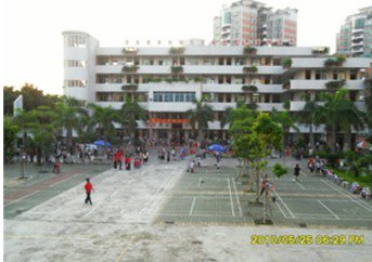 广州市增城市荔江小学图片