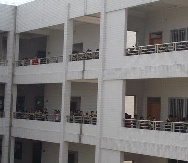 佛山顺德区乐从镇罗沙小学图片