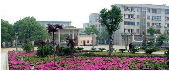 岳阳县一中|第一中学（岳阳一中）图片