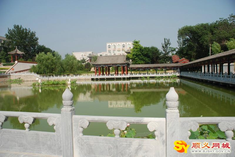 顺义区杨镇一中|第一中学（杨镇一中）图片