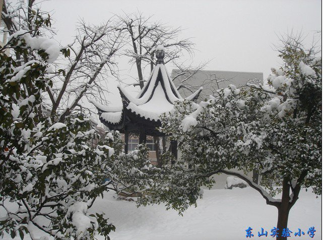 苏州市吴中区东山实验小学图片