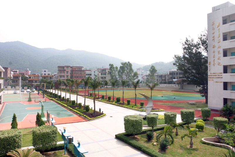 深圳市南澳中学图片