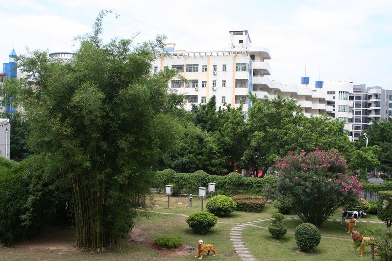 深圳市弘雅小学图片