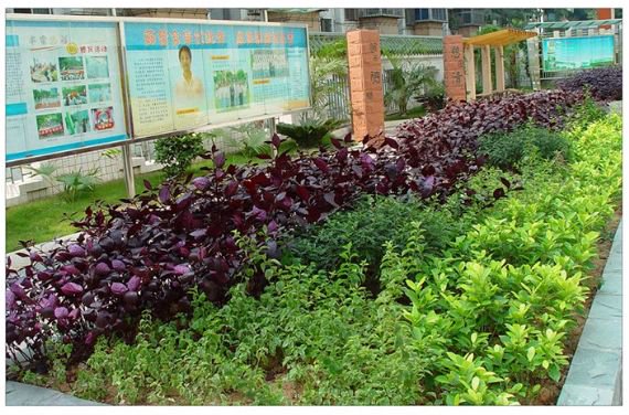 深圳市华富中学图片