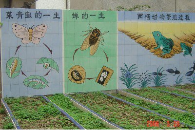 江门市八中|第八中学图片