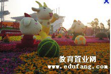 广州市黄埔区同德学校（初中部）图片