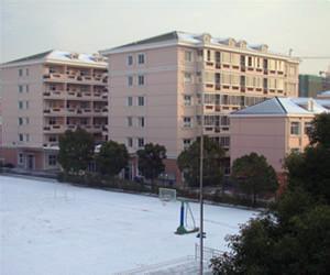 上海市民办茸一中学图片