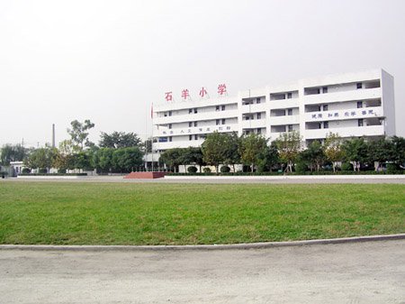成都高新区石羊小学图片