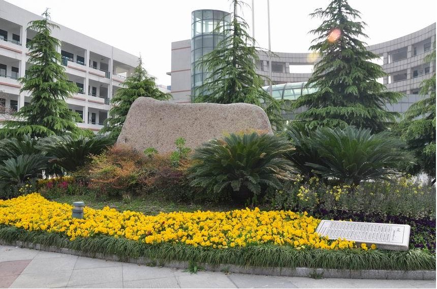 杭州市景成实验学校小学部图片