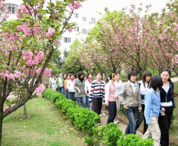 黄石市二中|第二中学（黄石二中）图片