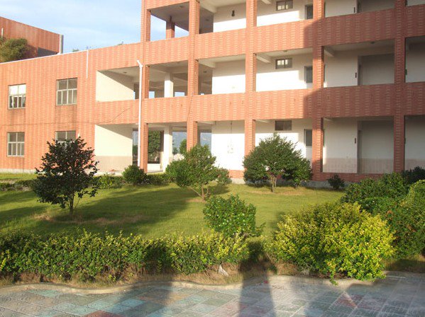 温州市越秀学校图片