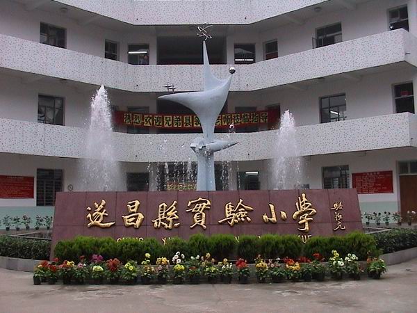 遂昌县实验小学图片