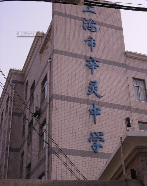 上海市辛灵中学图片