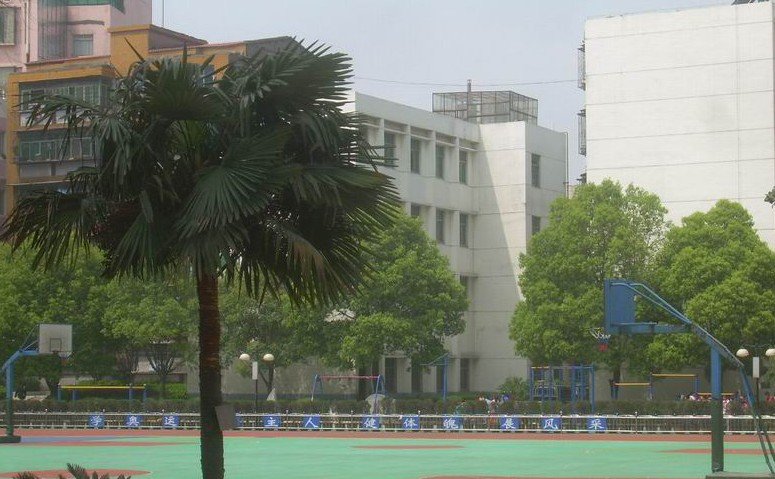 荆门市象山小学图片