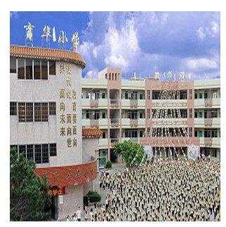 东莞市万江育华小学图片