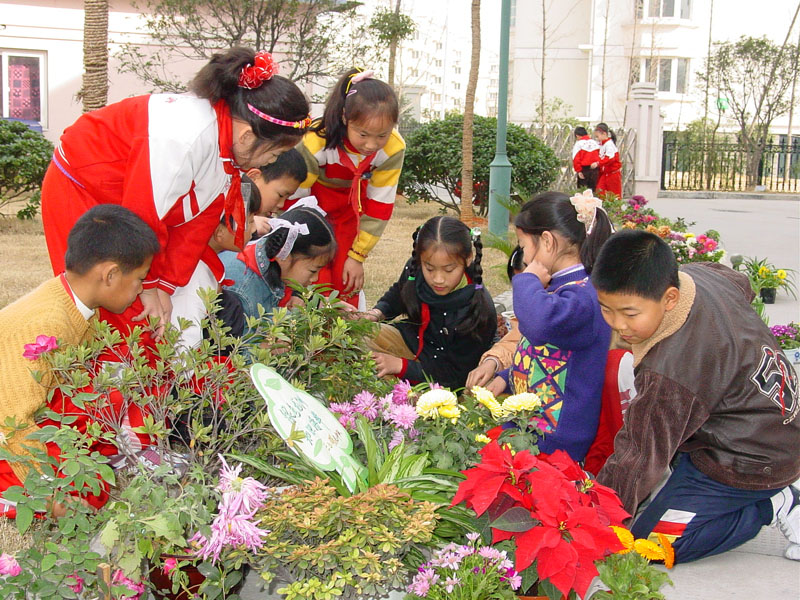绍兴市龙洲双语实验小学图片