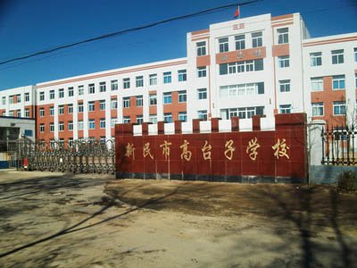 沈阳新民市高台子学校图片