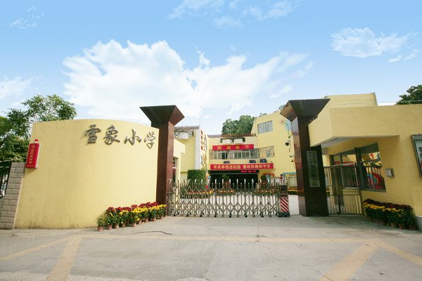 深圳市龙岗区雪象学校图片