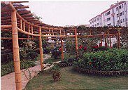 东莞新世纪英才学校图片