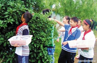 乐清市雁荡镇海岛寄宿小学图片