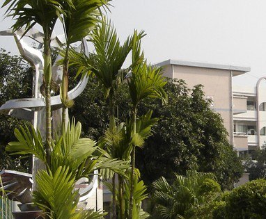 清远市佛冈中学图片