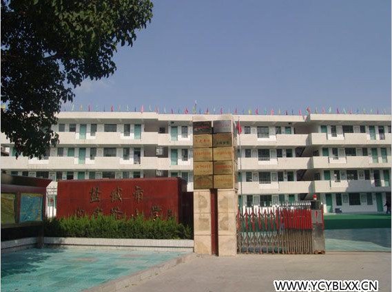 迎宾路小学东河校区图片