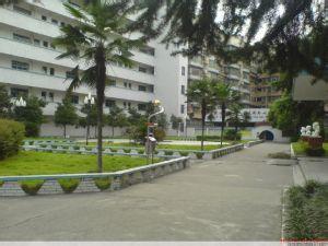 南京市燕子矶中学图片