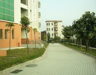 广州市萝岗区联和小学图片