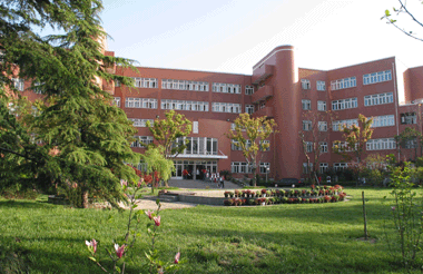 上海市新虹桥中学图片