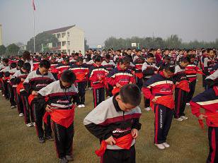 上海市坦直中学图片