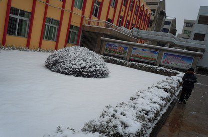 温州瑞安市鲍田中心小学图片