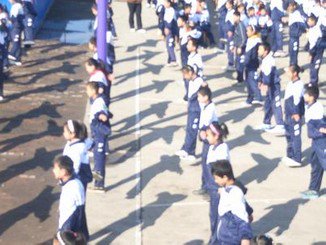 淄博市淄川区岭子镇中学图片