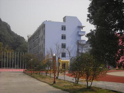 杭州仁和外国语学校小学部图片