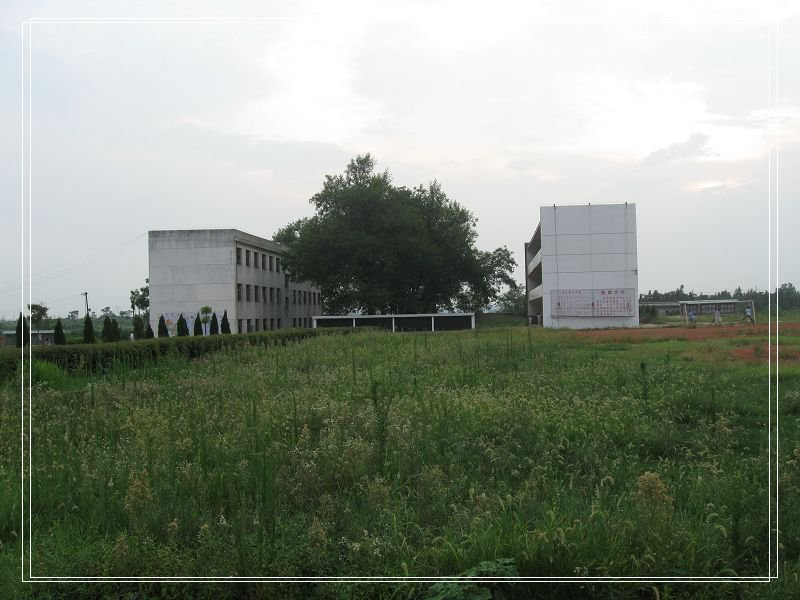 余干县管枥中学图片